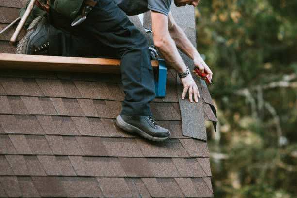 Professional Roofing Contractor in Ashburn, GA